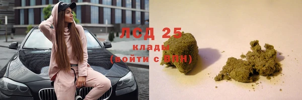 эйфоретик Алзамай