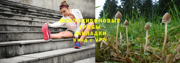 каннабис Алексеевка