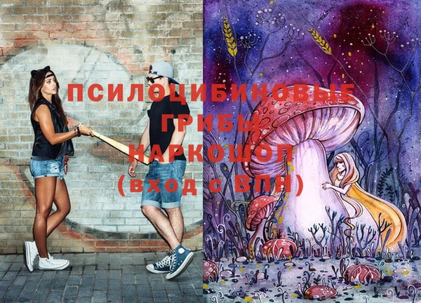 эйфоретик Алзамай